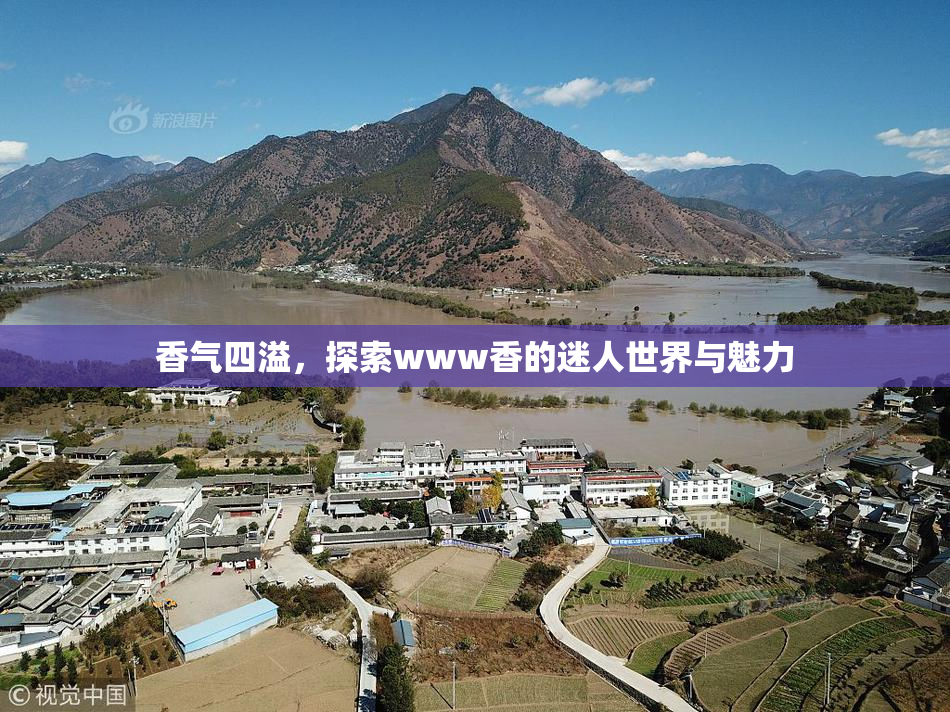 香气四溢，探索www香的迷人世界与魅力