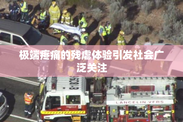 极端疼痛的残虐体验引发社会广泛关注