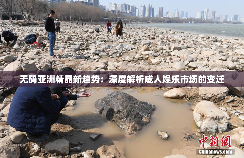 无码亚洲精品新趋势：深度解析成人娱乐市场的变迁