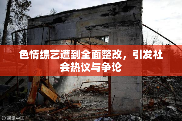 色情综艺遭到全面整改，引发社会热议与争论