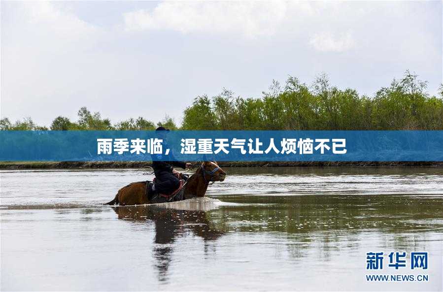 雨季来临，湿重天气让人烦恼不已