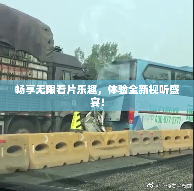 畅享无限看片乐趣，体验全新视听盛宴！