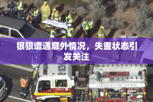 银狼遭遇意外情况，失重状态引发关注