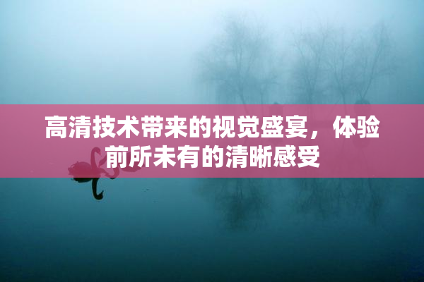 高清技术带来的视觉盛宴，体验前所未有的清晰感受