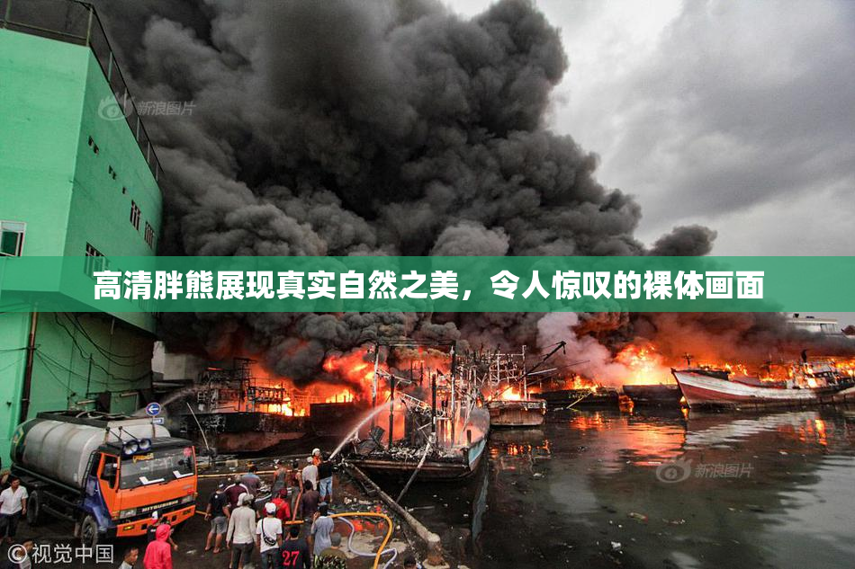 高清胖熊展现真实自然之美，令人惊叹的裸体画面