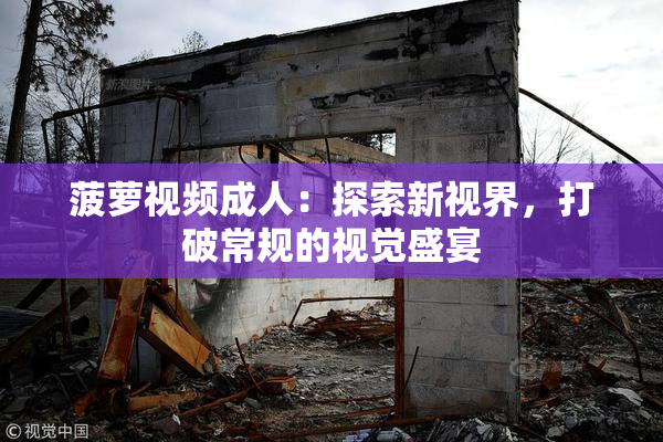 菠萝视频成人：探索新视界，打破常规的视觉盛宴
