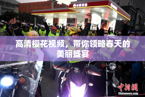 高清樱花视频，带你领略春天的美丽盛宴