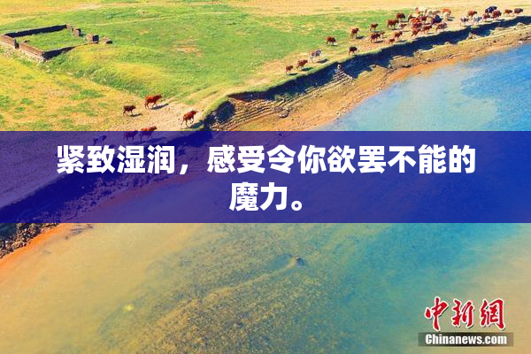 紧致湿润，感受令你欲罢不能的魔力。