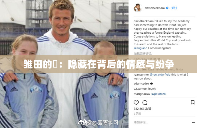 雏田的婬：隐藏在背后的情感与纷争