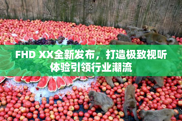 FHD XX全新发布，打造极致视听体验引领行业潮流