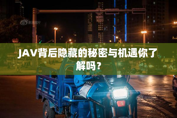 JAV背后隐藏的秘密与机遇你了解吗？