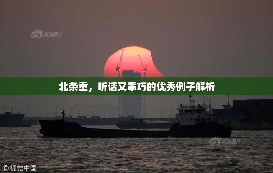北条重，听话又乖巧的优秀例子解析
