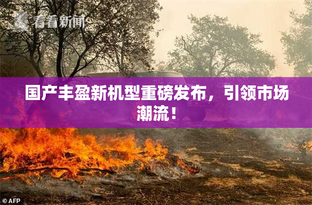国产丰盈新机型重磅发布，引领市场潮流！