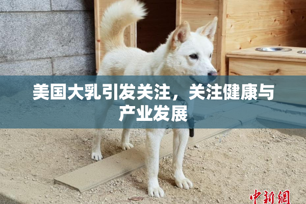 美国大乳引发关注，关注健康与产业发展