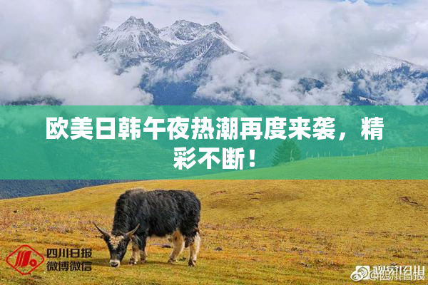 欧美日韩午夜热潮再度来袭，精彩不断！