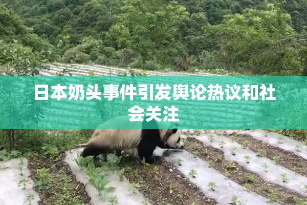 日本奶头事件引发舆论热议和社会关注