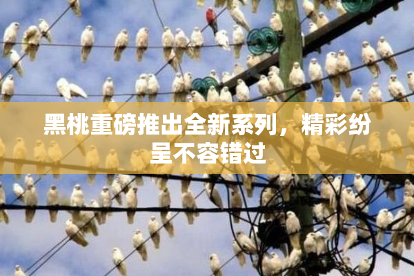 黑桃重磅推出全新系列，精彩纷呈不容错过