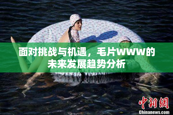 面对挑战与机遇，毛片WWW的未来发展趋势分析