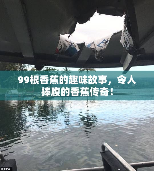 99根香蕉的趣味故事，令人捧腹的香蕉传奇！