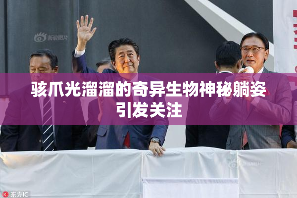 骇爪光溜溜的奇异生物神秘躺姿引发关注