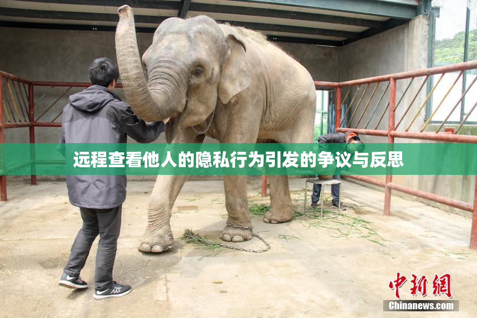 远程查看他人的隐私行为引发的争议与反思