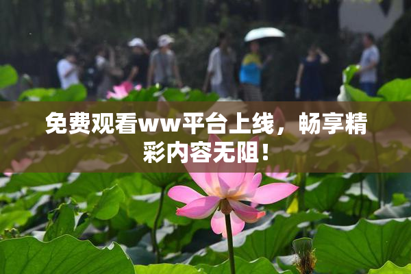 免费观看ww平台上线，畅享精彩内容无阻！