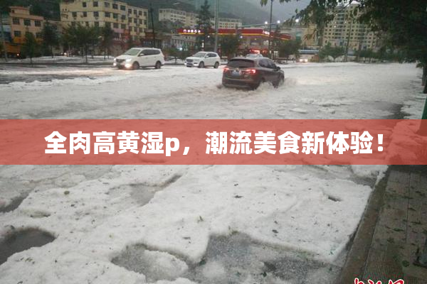 全肉高黄湿p，潮流美食新体验！