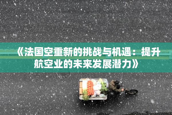 《法国空重新的挑战与机遇：提升航空业的未来发展潜力》