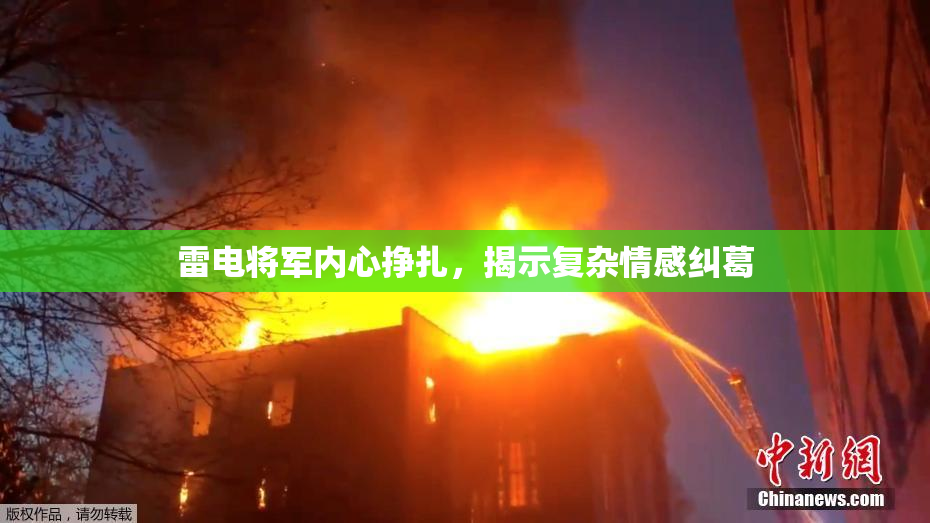 雷电将军内心挣扎，揭示复杂情感纠葛