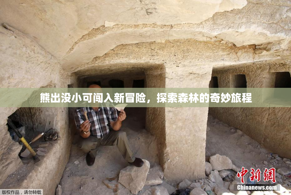 熊出没小可闯入新冒险，探索森林的奇妙旅程