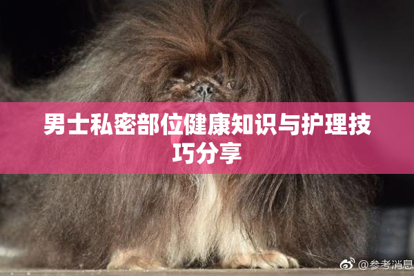 男士私密部位健康知识与护理技巧分享