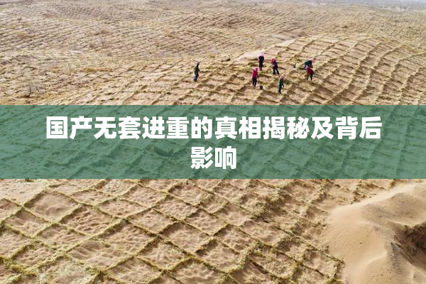 国产无套进重的真相揭秘及背后影响