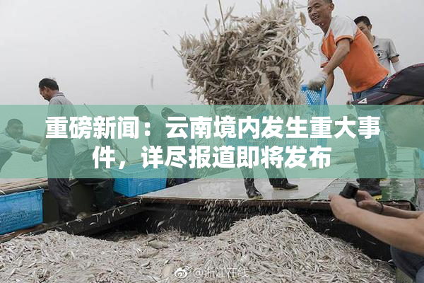 重磅新闻：云南境内发生重大事件，详尽报道即将发布