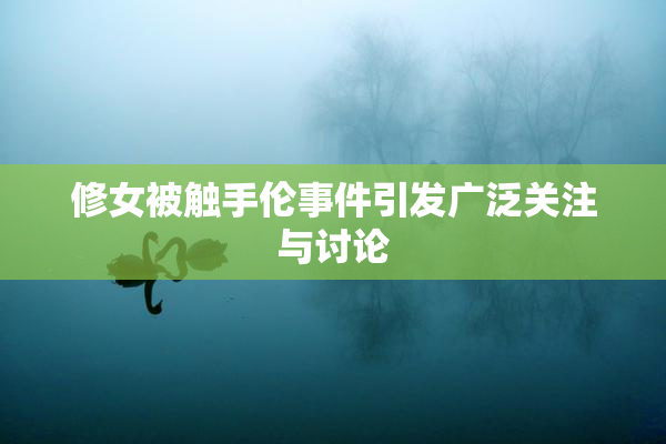 修女被触手伦事件引发广泛关注与讨论
