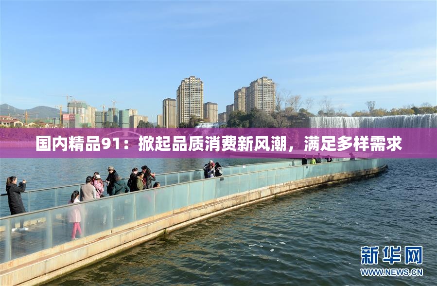 国内精品91：掀起品质消费新风潮，满足多样需求