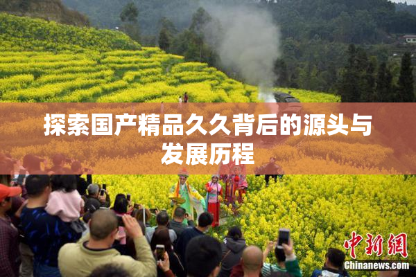 探索国产精品久久背后的源头与发展历程