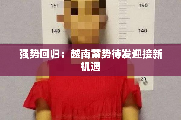 强势回归：越南蓄势待发迎接新机遇