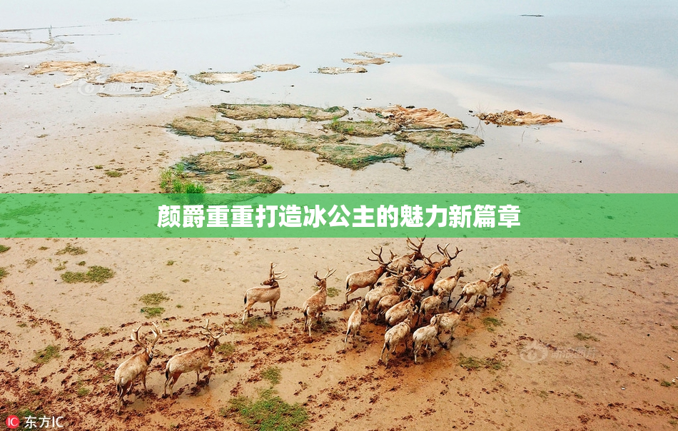 颜爵重重打造冰公主的魅力新篇章