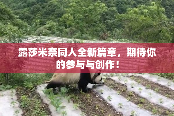 露莎米奈同人全新篇章，期待你的参与与创作！