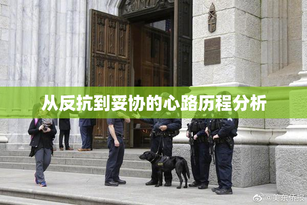 从反抗到妥协的心路历程分析