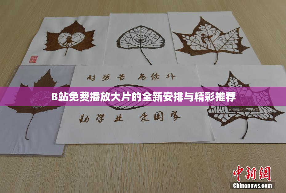 B站免费播放大片的全新安排与精彩推荐