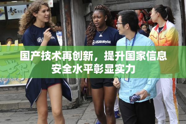 国产技术再创新，提升国家信息安全水平彰显实力