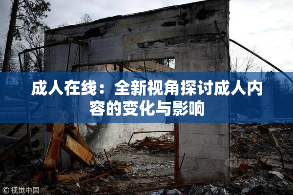 成人在线：全新视角探讨成人内容的变化与影响