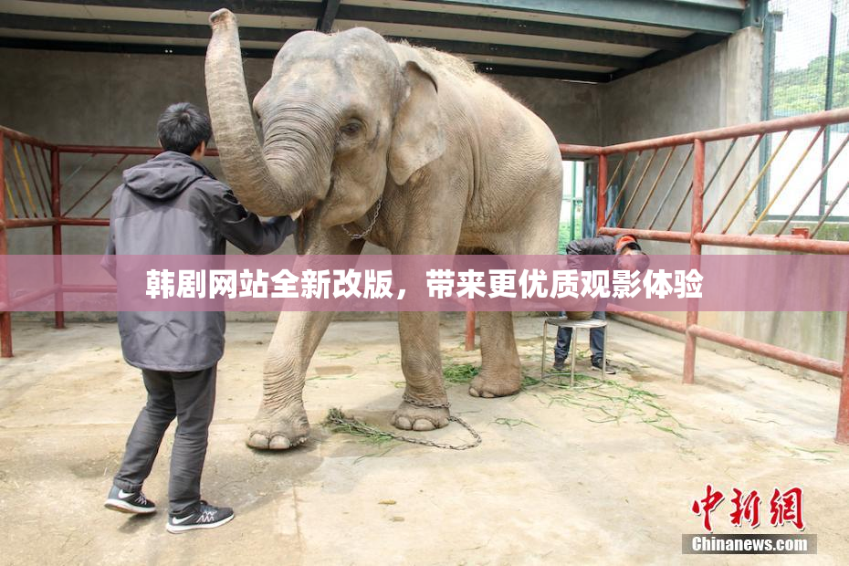 韩剧网站全新改版，带来更优质观影体验