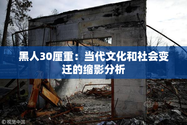 黑人30厘重：当代文化和社会变迁的缩影分析