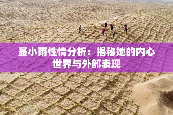 聂小雨性情分析：揭秘她的内心世界与外部表现