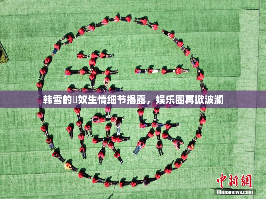 韩雪的婬奴生情细节揭露，娱乐圈再掀波澜