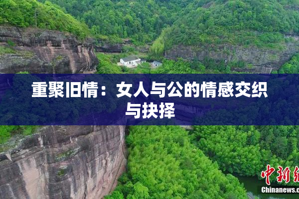 重聚旧情：女人与公的情感交织与抉择