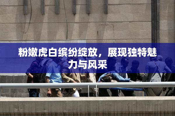 粉嫩虎白缤纷绽放，展现独特魅力与风采