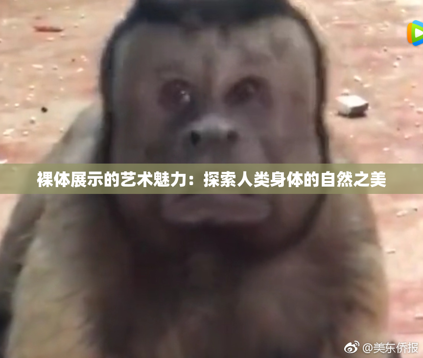 裸体展示的艺术魅力：探索人类身体的自然之美